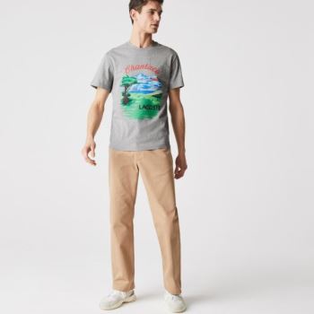 Lacoste Crew Neck Landscape Print Cotton T-shirt - Tričko Pánské Šedé / Červené | CZ-2oLn4j